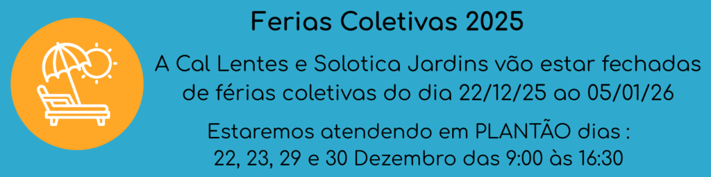 ferias coletivas 2025